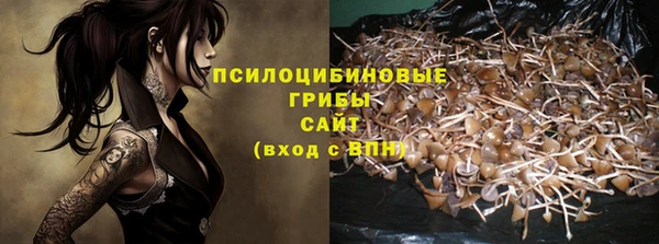 apvp Арсеньев