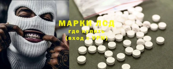 PSILOCYBIN Баксан